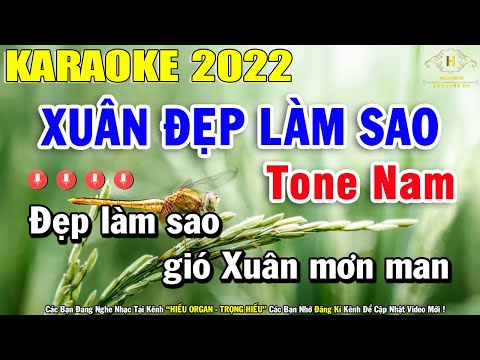 Xuân Đẹp Làm Sao Karaoke Tone Nam Nhạc Sống 2022 | Trọng Hiếu