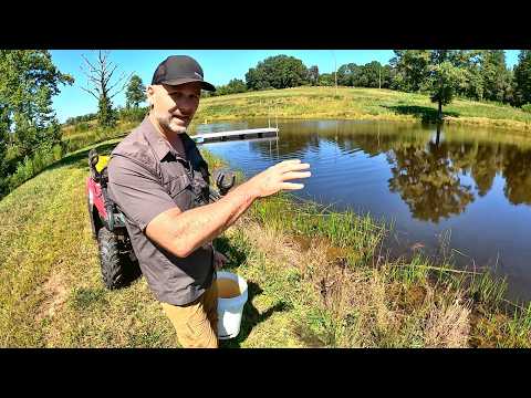 Free Fish! Stocking a Farm Pond The Hillbilly Way!