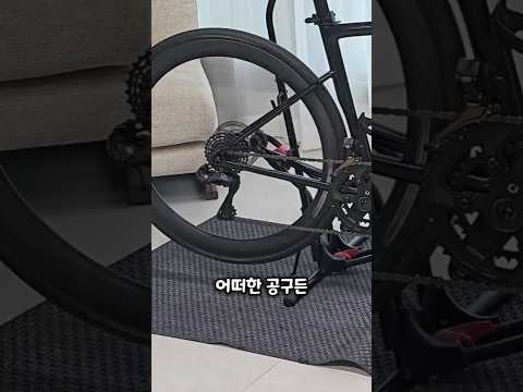 여러분들은 신형을 사세요 😭 저는 안쓰는 구형 자전거 거치대를 재활용하겠습니다.