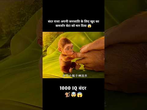 बंदर राजा अपनी जनजाति के लिए खुद का कमजोर बेटा को मार दिया 😱Part -1 #shorts #viralshort #animation