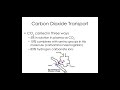 Metabolic Processes and Blood Functions