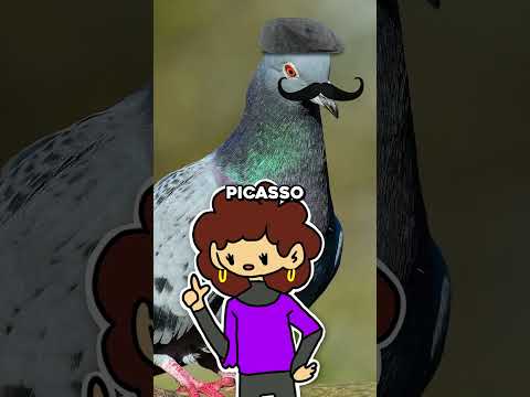 coincidências ABSURDAMENTE incríveis! 😱👭