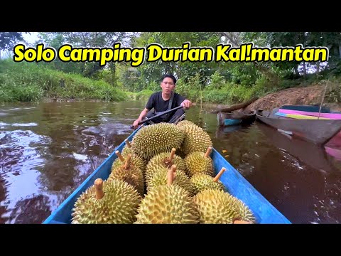 BERMALAM SENDIRIAN MENJAGA DURIAN DIHANTAM HUJAN DERAS//DURIAN SATU PERAHU