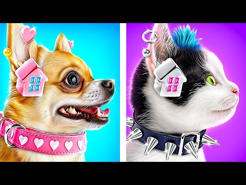 Cachorro Bom vs Gato Mau! Construímos uma Casinha para Animais de Estimação!