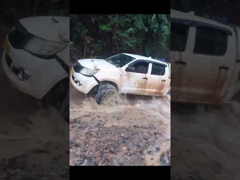 Toyota Hilux desde la Provincia de Papúa, Indonesia #shorts