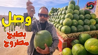 اتحقق من ٣ علامات في البطيخة 🍉 قبل الشراء