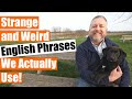 Understanding Common Idioms and Their Meanings