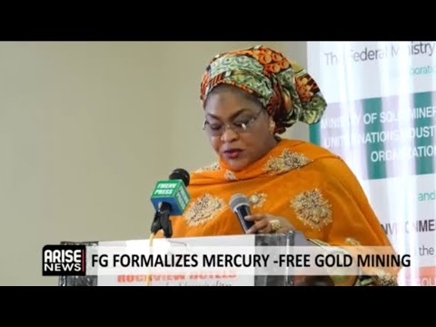 YouTube video thumbnail: Nigeria Halts Use of Mercury in Mining Gold