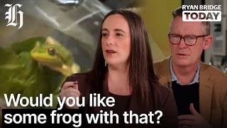 YouTube video thumbnail: Would you Like Some Frog With That Salad? Amphibian Found in Woolworths Lettuce