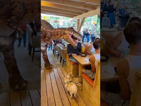 when your head becomes a Dino Snack 🤯 #styrassicpark #trex #rexi #ausflug #ausflugstipps #shorts