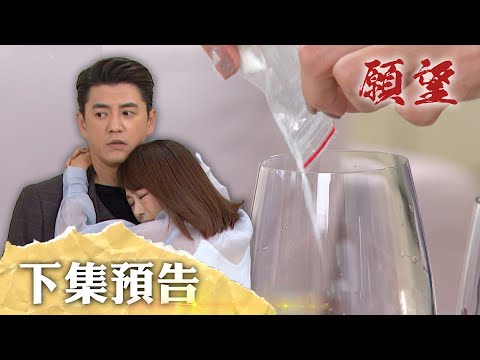 願望 EP259 預告｜不是開車撞人就是下藥！詩涵為報仇不擇手段 阻止廷偉搶走勝發！可欣的秘密藏不住 勝強麗紅準備相認？！｜【十全果醋】