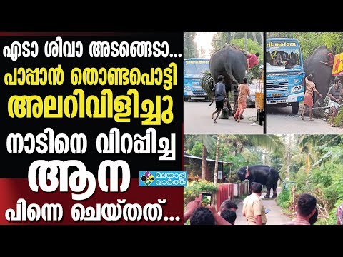 THIRUNAKARA SHIVANഎടാ ശിവാ അടങ്ങേടാ...