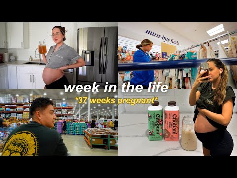 *PREGNANT* WEEK IN MY LIFE | labor signs, hurricane milton, costco & marshall's haul