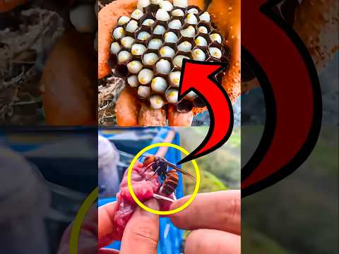 اون اصلا نمیدونست یه اشتباه باعث این اتفاق میشه!😨 ویدیو های جالب