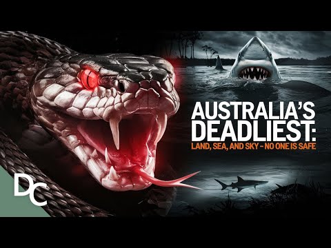 Does Australia The Most Dangerous Animals on Earth? | Savage Australia | @DocoCentral