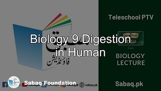 Biology 9 Digestion in Human