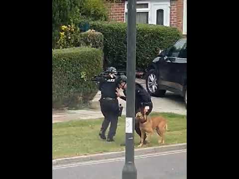UK Armed Response