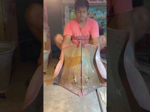 15 কেজি ওজনের শঙ্কর মাছ মাছ কাটছে সুমন ভাই #youtubeshorts #fishcutting #bigfishcutting #fish