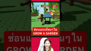 ซ่อนแอบในสวนgrow a garden ใครจะเนียนที่สุด