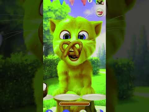 Talking Ginger 2🥗🫑🍒🍡🎂🍌🍉🥥🍇😸😻🥑🍅🍅😟😪🫒😵🙊🌶️😹🤣💨#funny#cat#tom#billi#cartoon#talkingginger2#viral#video