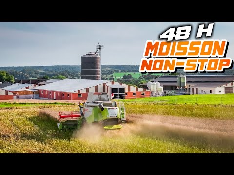 48 Heures MOISSON : DE JUSTESSE AVANT LA PLUIE !