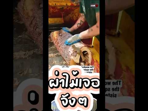 คลิปใจฝูมากๆ #บักเง็กtv #ข่าวดาราล่าสุดวันนี้ #เรื่องเล่า #shorts