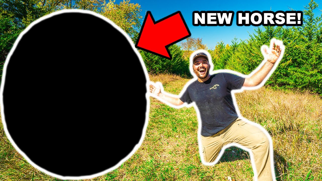 I Bought a HORSE for My BACKYARD FARM! (Can I Ride It)