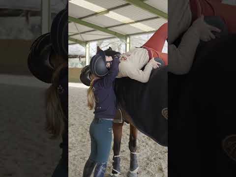 demain 10h sur YouTube !!! #equestrian #cheval #equitation #horse #challenge