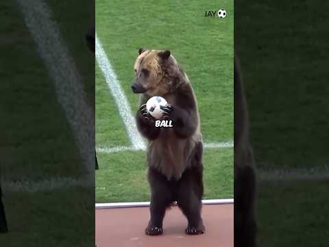 When the wrong thing delivers the ball 💀