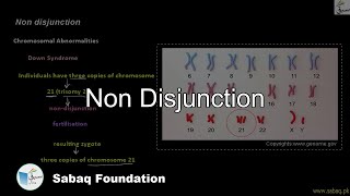 Non Disjunction, Heteropliody and Polyploidy