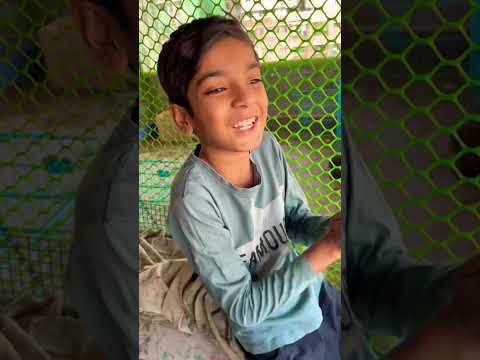 Hamara fancy kabutar ko udaa diya talha ne 😱😱😱 trap karke kabutar pakad liya 😍😍 Talha Ali Vlogs