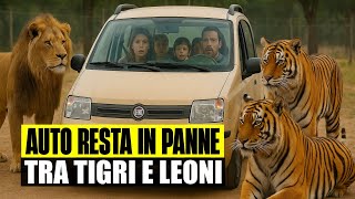 TERRORE ALLO ZOO DI FASANO: AUTO CON BIMBI A BORDO RESTA BLOCCATO TRA TIGRI E LEONI