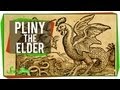 Pliny the Elder and His Contributions