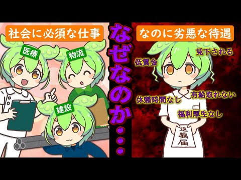 なぜ社会を支える人ほど貧乏になるのか？  日本経済の悲しいカラクリ【ずんだもん解説】