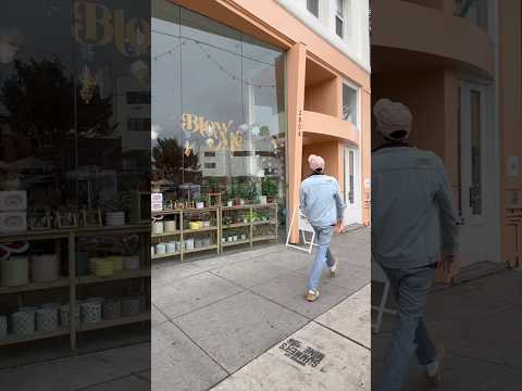 Stores with FUNNY Names 😂💀