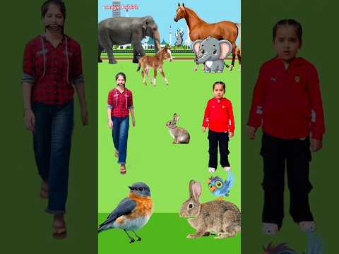 Anaya Ne Sahi bataya 🥰#anaya #shorts #video