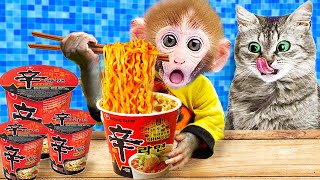 Baby Monkey Bon Bon enjoys spicy noodles & plays with kitten and duckling hallenge| Kudo maymun