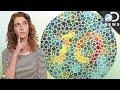 Color Blindness and Vision Conditions