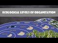 Ecological Levels of Organization in Kelp Forests and Sea Otters