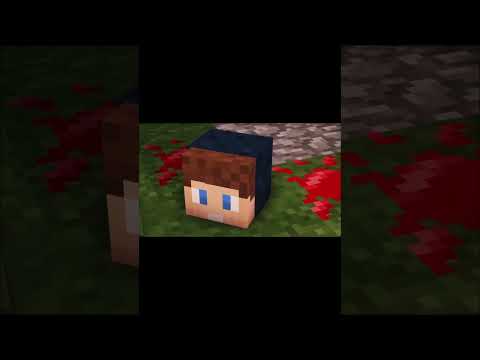 ĐẦU CỦA BẠN THÂN MÌNH XUẤT HIỆN TRONG THẾ GIỚI MINECRAFT VÀ ĐÂY LÀ CHUYỆN ĐÁNG SỢ BÍ ẨN ĐÃ XẢY RA!?