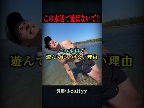 この海で遊ばないで！！！