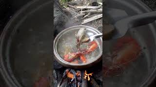 Masarap na Ulam sa Probinsya | Tinolang Isda sa Ilog 😋🐟🏞️ #fishing #tinolangisda