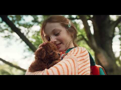 zooflash animal agency