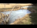 Fishing Pond Conditions and Management