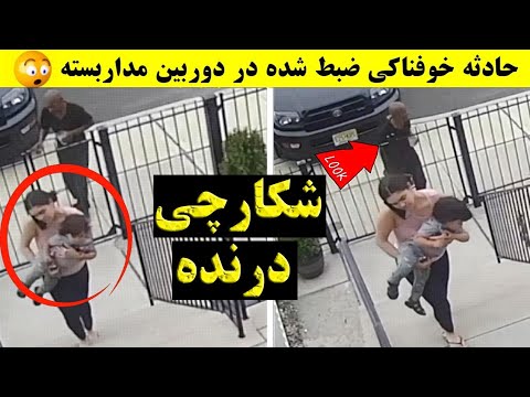 هیچ کس انتظار این را نداشت | صحنه‌ های باورنکردنی (قسمت - 24)