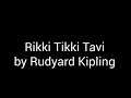 Exploring Rikki Tikki Tavi's Adventures