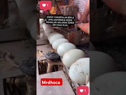 Böyle Bir Cihaz Olmalıydı ♥️