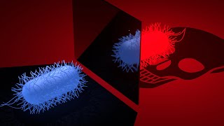 La menace existentielle de la vie MIROIR  |  ЯIOЯIM