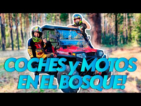 Den y sus Aventuras con Coches y Motos en el Bosque! | Coches y Motos para Niños