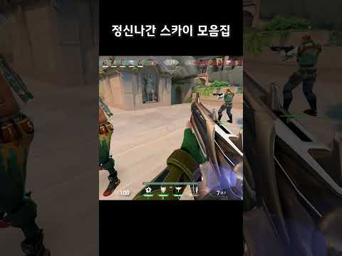 뽀삐 발로란트